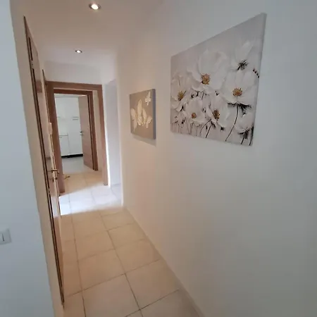 Casa Al Mare-apartment Near The Sea-free Park Apartamento *